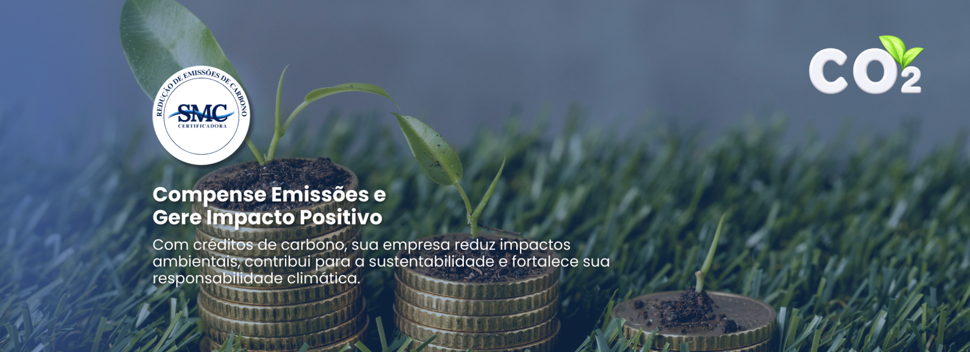 Redução na emissão de carbono